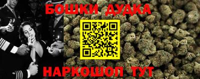 гидра Заволжье