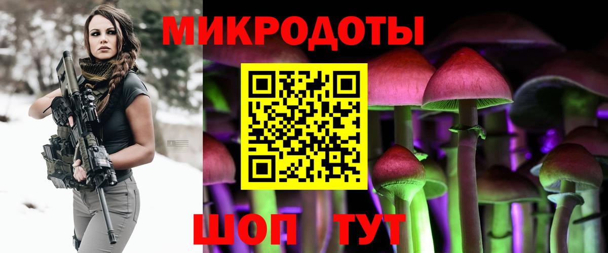 Псилоцибиновые грибы Psilocybine cubensis Минеральные Воды
